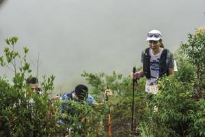 BIB: 531
                            <button type="button" onclick="openModal(24737446)" class="btn btn-primary btn-sm float-right btn-popup" data-toggle="modal" data-target=".modal-high-quality">
                        <i class="fas fa-shopping-cart"></i> Add to Cart
                    </button>
                                            <button type="button" onclick="isThisMe(24737446, true)" class="btn btn-success btn-sm float-right btn-popup btn-isme hidden" data-toggle="tooltip" data-placement="bottom" title="นี่คือรูปของคุณใช่ไหม คลิกที่นี่เพื่อเอาเข้าอัลบั้ม">
                        <i class="fas fa-plus"></i> Add to album
                    </button>
                    <button type="button" onclick="isThisMe(24737446, false)" class="btn btn-warning btn-sm float-right btn-popup btn-isnotme hidden">
                        <i class="fas fa-ban"></i> Remove from album
                    </button>